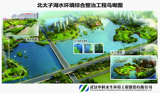 金狮贵宾会宾至如归尊贵显赫(中国)官方网站