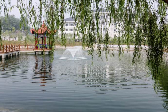 金狮贵宾会宾至如归尊贵显赫(中国)官方网站