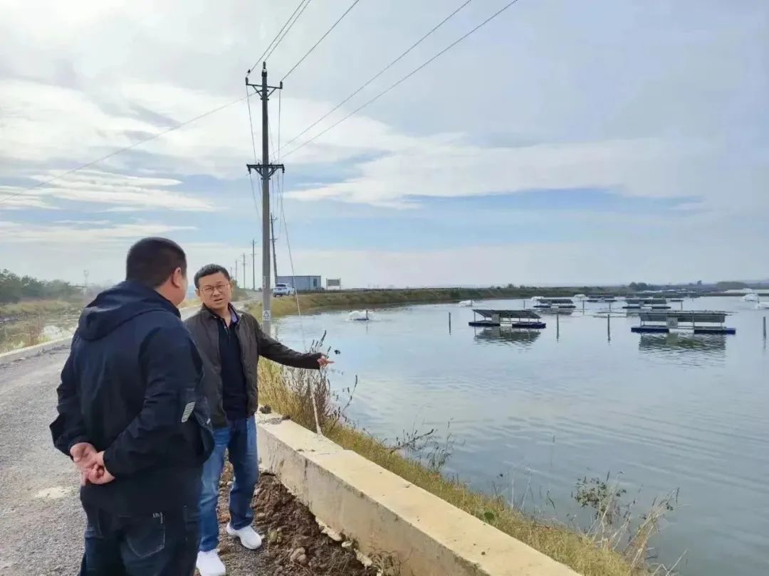 金狮贵宾会宾至如归尊贵显赫(中国)官方网站