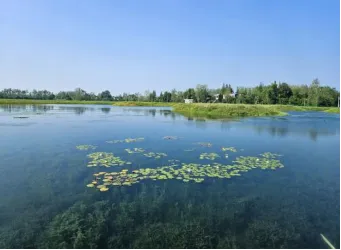 ½ðʨ¹ó±ö»á±öÖÁÈç¹é×ð¹óÏÔºÕ(Öйú)¹Ù·½ÍøÕ¾